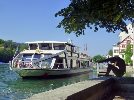 0019 Rhystern Anleger Eglisau 107.jpg