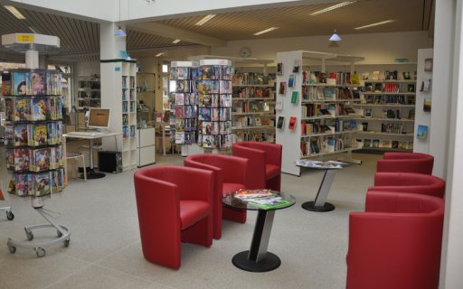 Bibliothek5b334a9c3c6cd.jpg