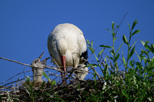 Bildschirm­foto 2026-02-09 um 17.34.42.png