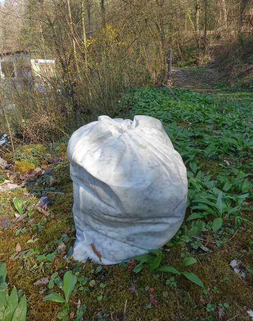 Insta 2022 aller voraussict nach_Veronika Dierauer 1.jpg
