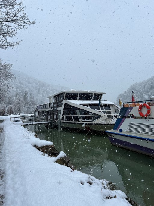 Rhystern Tössegg im Schnee.jpg