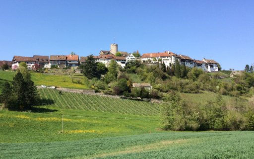 VBSR_Regensberg_Sommer.jpg