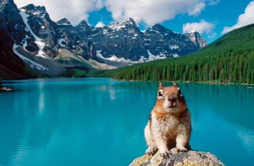 szenekloten-wildnis-amerika-20260213_WEB.jpg
